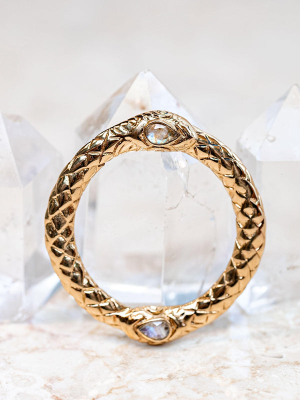 Serpent Medallion